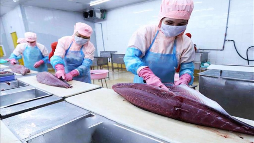 Five-month tuna exports to Italy triple